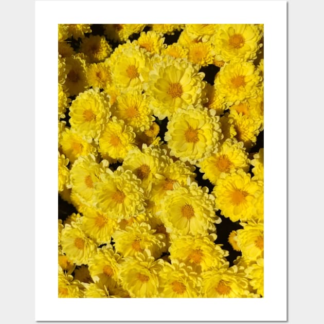 Mums yellow flowers Mother's day Wall Art by robrush47